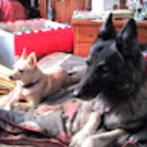 Meet your Posher, Paul a